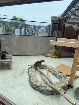 横浜・八景島シーパラダイスに投稿された画像（2025/4/26）