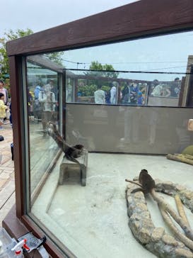 横浜・八景島シーパラダイスに投稿された画像（2025/4/26）