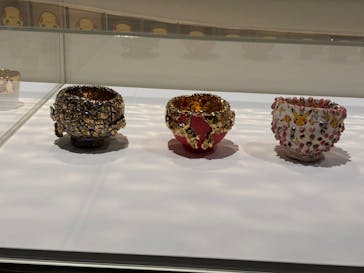 ポケモン×工芸展－美とわざの大発見－に投稿された画像（2025/4/27）