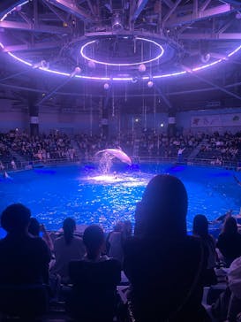 マクセル アクアパーク品川に投稿された画像（2025/4/27）