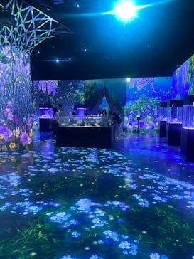 マクセル アクアパーク品川に投稿された画像（2025/4/27）