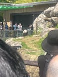 恩賜上野動物園に投稿された画像（2025/4/27）