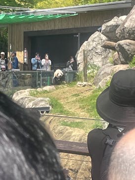恩賜上野動物園に投稿された画像（2025/4/27）