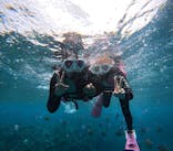 沖縄マリンサービス碧に投稿された画像（2025/4/27）