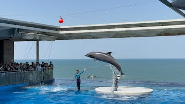 上越市立水族博物館 うみがたりに投稿された画像（2025/4/27）