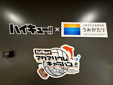 上越市立水族博物館 うみがたりに投稿された画像（2025/4/27）