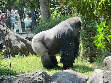 恩賜上野動物園に投稿された画像（2025/4/27）