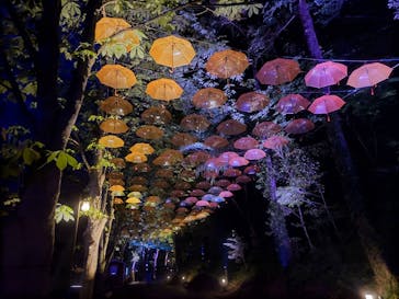 ムーミンバレーパークに投稿された画像（2025/4/27）