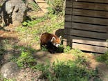 千葉市動物公園に投稿された画像（2025/4/27）