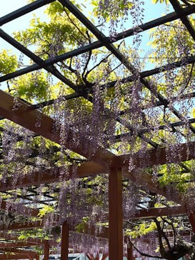 恩賜上野動物園に投稿された画像（2025/4/27）