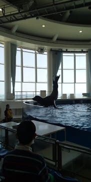 アクアワールド茨城県大洗水族館に投稿された画像（2025/4/27）