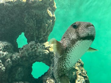 葛西臨海水族園に投稿された画像（2025/4/27）