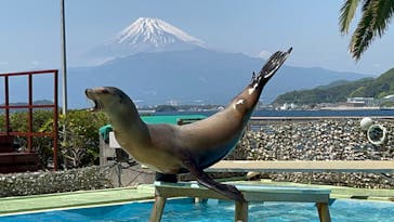 あわしまマリンパークに投稿された画像（2025/4/27）