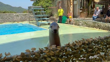 あわしまマリンパークに投稿された画像（2025/4/27）