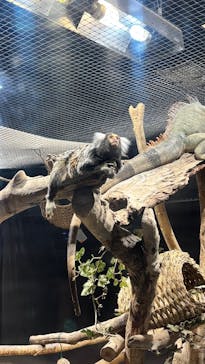 カワスイ 川崎⽔族館に投稿された画像（2025/4/27）