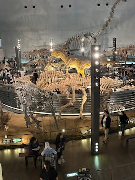 福井県立恐竜博物館に投稿された画像（2025/4/27）