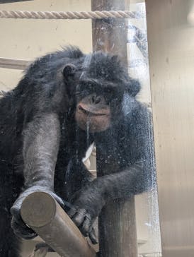 日立市かみね動物園に投稿された画像（2025/4/27）