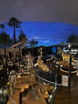 福井県立恐竜博物館に投稿された画像（2025/4/27）