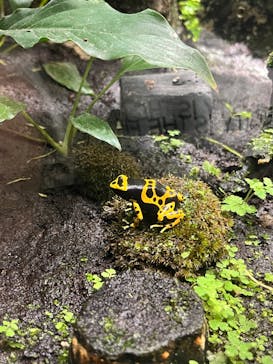 サンシャイン水族館に投稿された画像（2025/4/27）