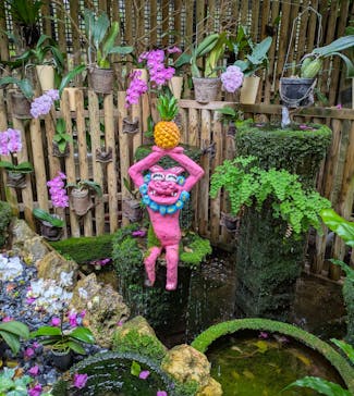 ナゴパイナップルパークに投稿された画像（2025/4/27）