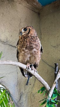 那須どうぶつ王国に投稿された画像（2025/4/27）