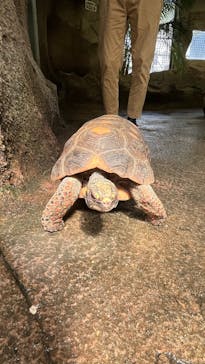 那須どうぶつ王国に投稿された画像（2025/4/27）