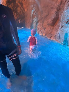 東京サマーランドに投稿された画像（2025/4/27）