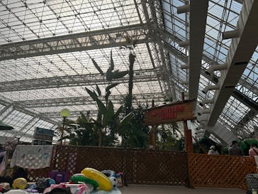 東京サマーランドに投稿された画像（2025/4/27）