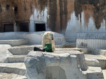 天王寺動物園に投稿された画像（2025/4/27）