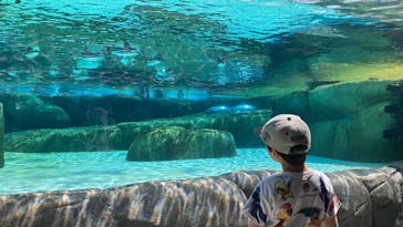 天王寺動物園に投稿された画像（2025/4/27）