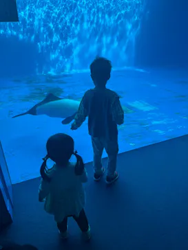 仙台うみの杜水族館に投稿された画像（2025/4/27）