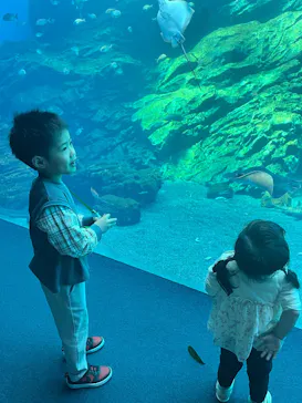 仙台うみの杜水族館に投稿された画像（2025/4/27）
