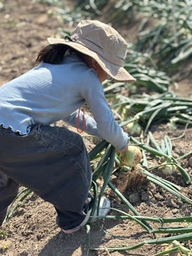 淡路ファームパーク イングランドの丘に投稿された画像（2025/4/27）