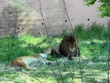 東京動物園協会_多摩動物公園に投稿された画像（2025/4/27）