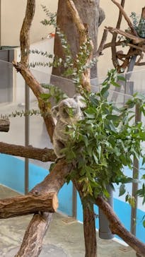 東京動物園協会_多摩動物公園に投稿された画像（2025/4/27）