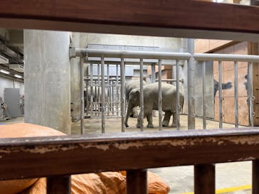 名古屋市東山動植物園に投稿された画像（2025/4/27）