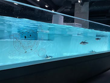 AOAO SAPPOROに投稿された画像（2025/4/27）