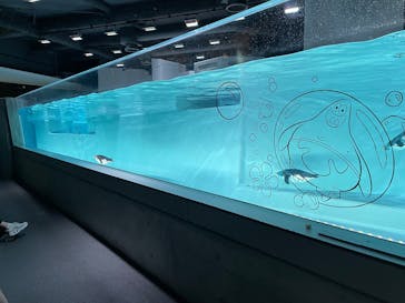 AOAO SAPPOROに投稿された画像（2025/4/27）