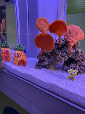 AOAO SAPPOROに投稿された画像（2025/4/27）