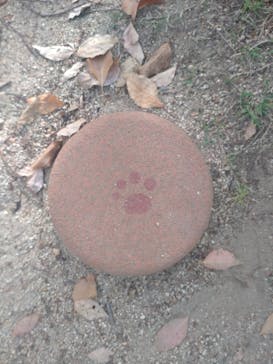 ニジゲンノモリに投稿された画像（2025/4/27）