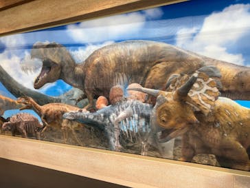 福井県立恐竜博物館に投稿された画像（2025/4/27）