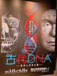 特別展「古代DNA－日本人のきた道」（国立科学博物館）に投稿された画像（2025/4/27）