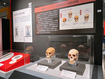 特別展「古代DNA－日本人のきた道」（国立科学博物館）に投稿された画像（2025/4/27）
