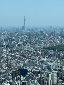 サンシャイン60展望台に投稿された画像（2025/4/27）