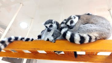 アニタッチ MARK IS 静岡に投稿された画像（2025/4/27）