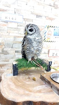 アニタッチ MARK IS 静岡に投稿された画像（2025/4/27）