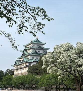 名古屋城に投稿された画像（2025/4/27）