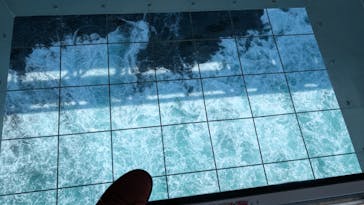 徳島県立 渦の道に投稿された画像（2025/4/27）