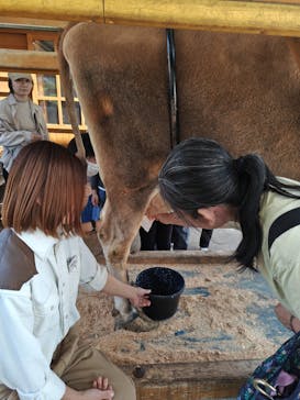 まかいの牧場に投稿された画像（2025/4/27）
