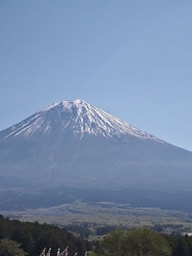 まかいの牧場に投稿された画像（2025/4/27）